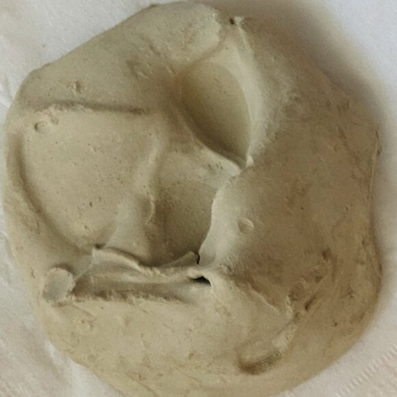 Bashien Haitian Clay 16 oz - Picture 3 of 4